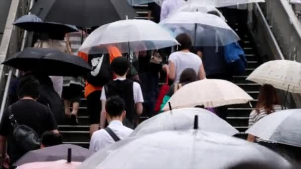 Menschen mit Regenschirm überqueren Fußgängerüberweg — Stockvideo