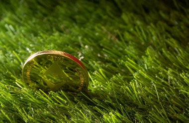 Ethereum sikke yeşil çimen, clos eup üzerinde