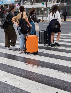 Tokyo, Japonya. Turistler ve yerliler için karşıdan karşıya geçerken