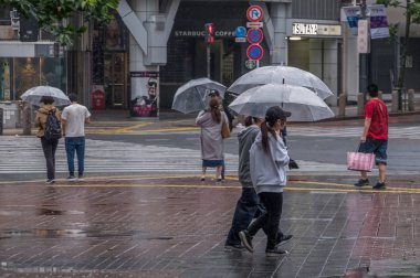 Yaya geçidi geçiş şemsiye grubu