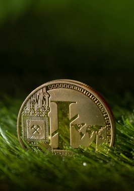 Litecoin yeşil çimenlerin üzerinde Kapat