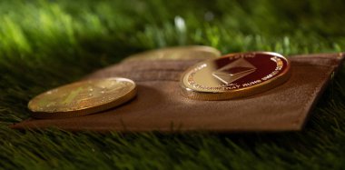 Yeşil çimenlerin üzerinde deri cüzdan ile popüler kripto para birimleri.