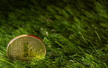 Litecoin yeşil çimenlerin üzerinde Kapat