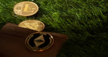 Yeşil çimenlerin üzerinde deri cüzdan ile popüler kripto para birimleri.