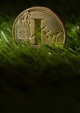 Litecoin yeşil çimenlerin üzerinde Kapat