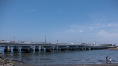 Sahilde gündüz vakti dinlenen insanlar suyun yanında.