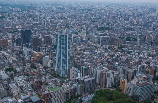 Widok na Tokio, Japonia — Zdjęcie stockowe