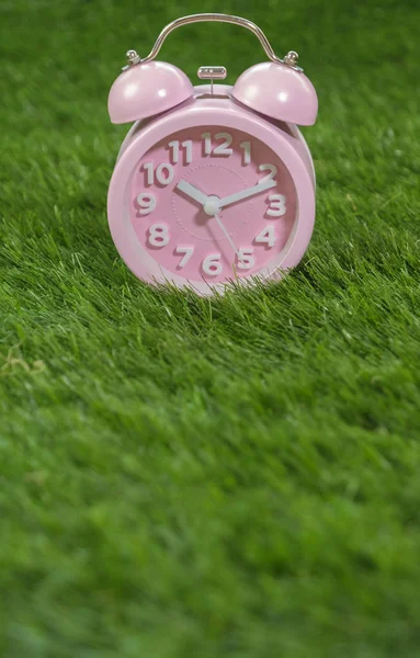 Reloj Despertador Rosa Sobre Hierba Verde Cerca —  Fotos de Stock