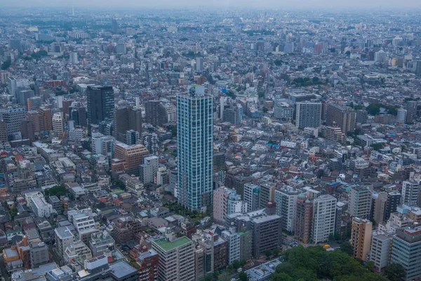 Widok na Tokio, Japonia — Zdjęcie stockowe