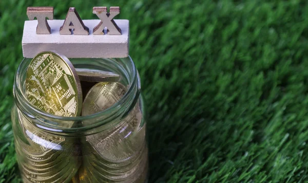 绿色草地上的梅森罐子里的密码货币税词 — 图库照片