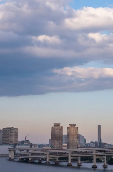Zobacz Panoramę Tokio Panoramę Miasta Zachodzie Słońca — Zdjęcie stockowe