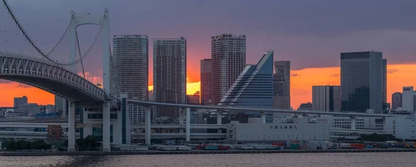 Zobacz Panoramę Tokio Panoramę Miasta Zachodzie Słońca — Zdjęcie stockowe