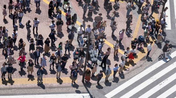 Tokyo, Japonya - 23 Haziran 2018. Shibuya içinde karşıya insanlar 