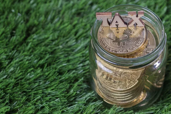 Daňové Slovo Pomocí Bitcoinu Mason Jar Zelené Trávě — Stock fotografie