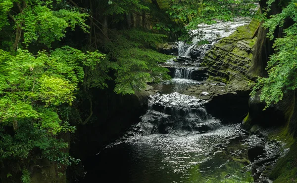 Pequeno Riacho Que Flui Através Rochas Floresta — Fotografia de Stock