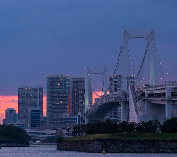 Skyline Von Tokio Bei Sonnenuntergang — Stockfoto