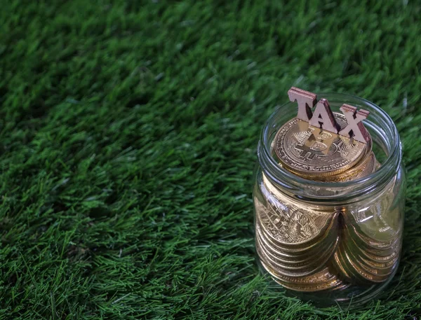 Tax Word Bitcoin Mason Jar Green Grass — Stock Photo, Image