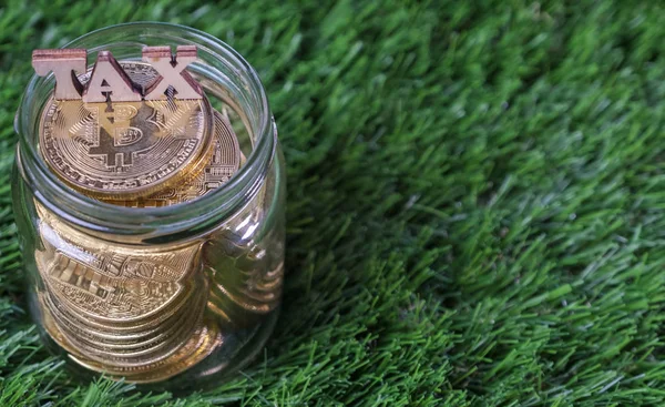 Skatt Word Med Bitcoin Mason Jar Över Grönt Gräs — Stockfoto