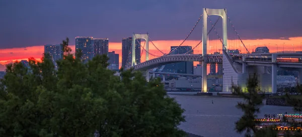 Stadssilhuetten Över Tokyo Stadsbild Solnedgången — Stockfoto