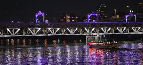 Tokio Japan August 2018 Abendessen Kreuzfahrtschiff Oder Lokal Als Yakatabune — Stockfoto