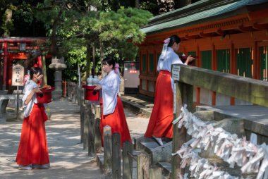 Fukuoka, Japonya - 5 Ağustos 2018. İlk tapınak rahibesi ya da Chikuzen ICHINOMIYA Sumiyoshi Tapınak, Japon dilinde miko olarak bilinen.