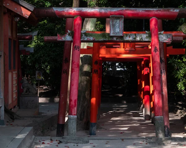 Fukuoka Japon Août 2018 Torii Porte Traditionnelle Japonaise Sanctuaire Chikuzen — Photo