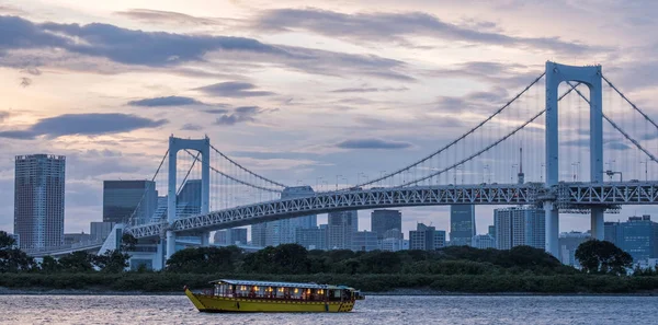 Токіо Японія Серпня 2018 Обiд Cruise Човен Або Локально Відомий — стокове фото