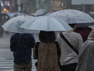 Tokyo, Japonya - 29 Temmuz 2018. Yağmurlu tayfun sezonu boyunca şemsiye ile karşıdan karşıya için bekleyen kişi.