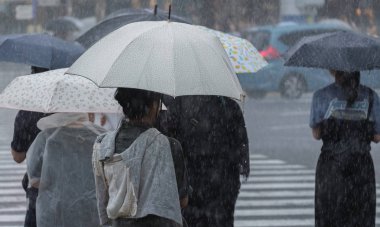 Tokyo, Japonya - 29 Temmuz 2018. Yağmurlu tayfun sezonu boyunca şemsiye ile karşıdan karşıya yaya bekleyen.