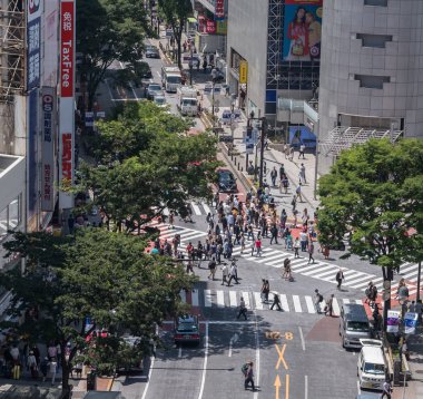 İnsanlar Japonya'da yol geçiş