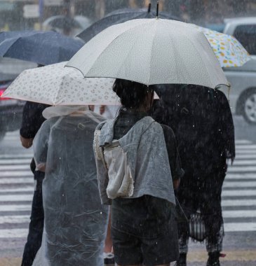 Tokyo, Japonya - 29 Temmuz 2018. Yağmurlu tayfun sezonu boyunca şemsiye ile karşıdan karşıya yaya bekleyen.