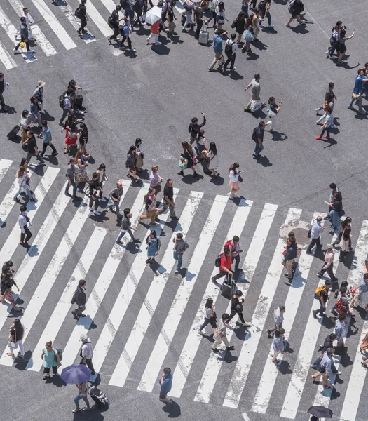 Personer Som Korsar Vägen Japan — Stockfoto