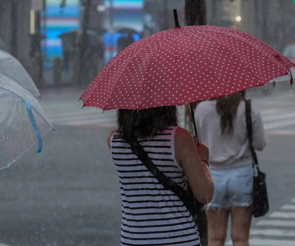 Tokyo, Japonya - 29 Temmuz 2018. Kırmızı şemsiye yağmurlu tayfun sezonu boyunca şemsiye ile karşıdan karşıya bekleyen kadınla.