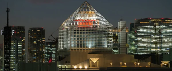 Observing View Night City Japan — Stock Photo, Image