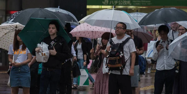 Tokyo, Japonya - 29 Temmuz 2018. Yağmurlu tayfun sezonu boyunca şemsiye ile karşıdan karşıya için bekleyen kişi.