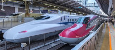 Tokyo, Japonya - 17 Ağustos 2018. Yüksek hızlı tren Tokyo Tren İstasyonu platformu.