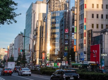 Tokyo, Japonya - 30 Haziran 2018. Kabukicho street, Shinjuku taksiler.