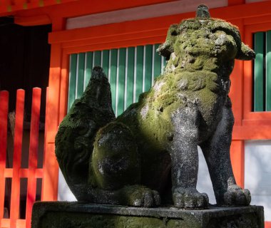 Komainu ya da köpek aslan heykeli bir Shinto tapınağı: Fukuoka, Japan.