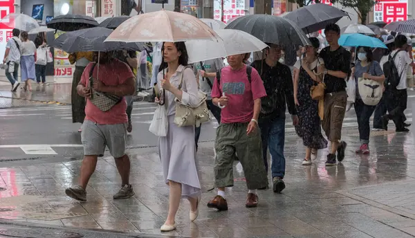 Tokyo, Japonya - 29 Temmuz 2018. Yaya Shinjuku sokakta şemsiye ile yağmurda yürüme.