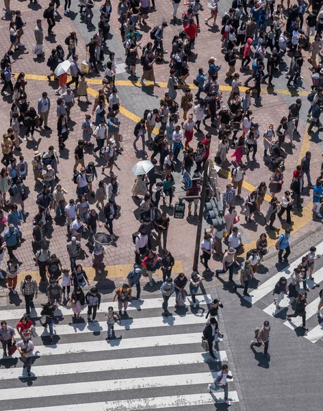 Personer Som Korsar Vägen Japan — Stockfoto