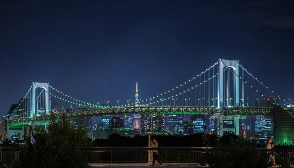 Tokyo Giappone Agosto 2018 Treno Moderno Che Muove Sul Ponte — Foto Stock