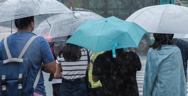 Tokyo, Japonya - 29 Temmuz 2018. Yağmurlu tayfun sezonu boyunca şemsiye ile karşıdan karşıya yaya bekleyen.