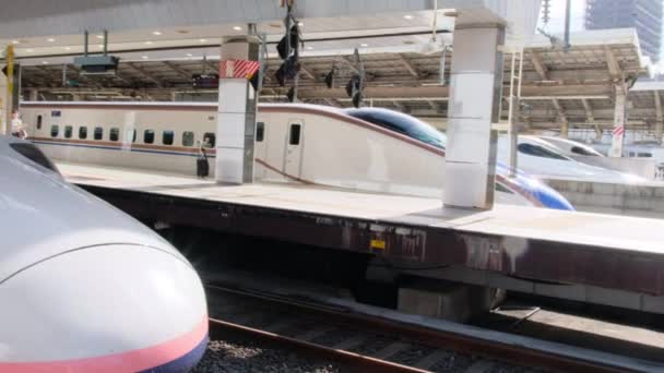 Tren Shinkansen Bullet Japón Shinkansen Una Red Líneas Ferroviarias Alta — Vídeos de Stock