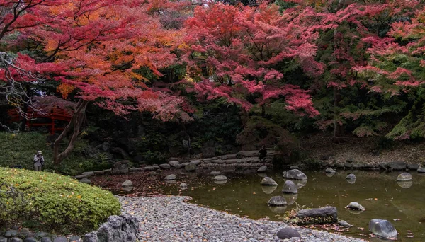 日本东京 2017年11月12日 秋天Yoyogi公园改变树叶颜色的景观 — 图库照片