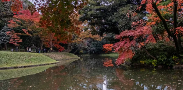 Tokio Japonsko Listopadu 2017 Pohled Změnu Stromu Parku Yoyogi Zanechává — Stock fotografie