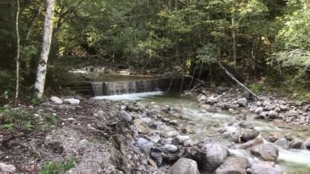 アマガウ アルプスの野生の小川を流れる — ストック動画