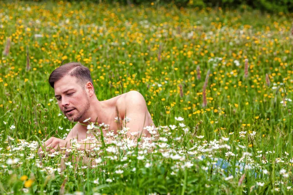 Young Man Shirtless Flower Meadow — Stock Photo, Image