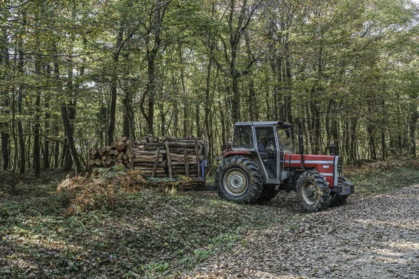 Camión Madera Que Lleva Troncos Bosque Durante Otoño —  Fotos de Stock
