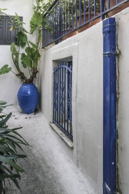 Ada, Yunanistan için tipik bir Yunan evin bahçesinde