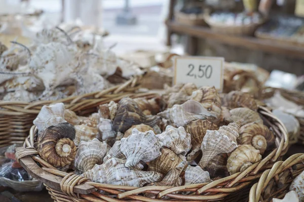 Variety of seashells in baskets on the souvenir store shelves